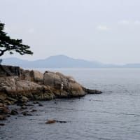 6月の水辺の風景