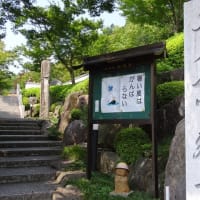 宝徳寺「風鈴まつり」