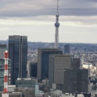 久しぶりの東京