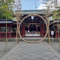根津神社 夏越しの大祓