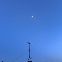 ブログ引越し作業中６日目