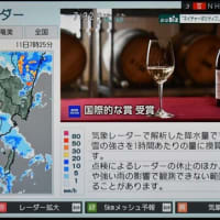 期待ほど降らず　唐芋収穫見込めず　2025/07/11（鹿児島）
