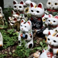 人形供養-和歌山県和歌山市：加太