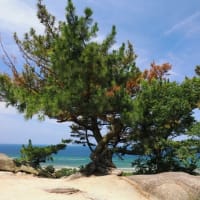 琴弾八幡宮（香川）