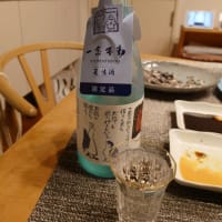 三河の地酒　関谷醸造株式会社　限定品「一念不動® 特別純米 夏生酒」　～馬刺し、生センマイとともに～