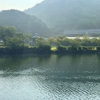 真夏の別邸わんこ日和　湯浦川から