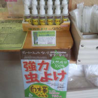 入荷しました！！