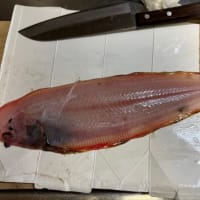 娘、魚をさばく練習