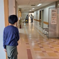 孫ちゃん家族が飛んできました　お父さんの治療記録　２５．６/１０