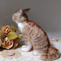 羊毛っこ　猫さん♪生まれました(*^^*)