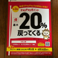 PayPay最大20％還元キャンペーン