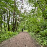 尾瀬・裏磐梯・只見線の旅　-6 　・・・　Mysterious lake “Goshikinuma”