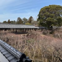☆東福寺　地域貢献