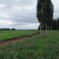 北海道-豊岡見晴し台駐車公園