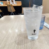 |M3419|宮崎空港ビル３F『萩の茶屋』で早めの夕食。レモンチューハイ＆鶏天おろし＆キムチチャーシューで開始し、冷やし平兵衛酢（へべす）そばが抜群にうまかった！