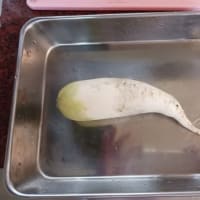 できそこないの料理