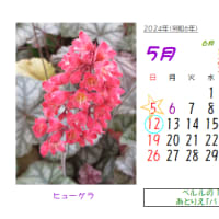 2024年5月の花のカレンダー