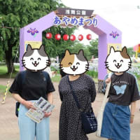 検査結果は貧血だって・・・