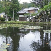 多気町「丹生山神宮寺（丹生大師）」に行ってきました～(^^)  2025