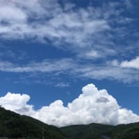7月の日記１３　来客で一日が終わりました