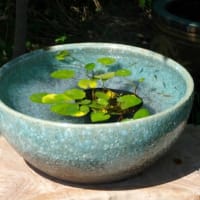 新緑の丘で。波動が整い運気が増す。