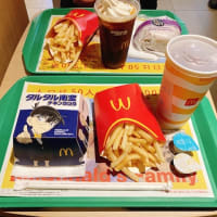 「マクドナルド」で夜ごはんと、私のブログの引越し先