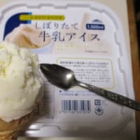 質素に少量-今日も元気----スイトン鍋、牛乳アイス、金胡麻いわし、炒飯、塩ラッキョウ