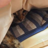 まだ潜ります？