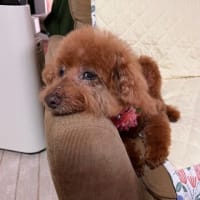 ７月６日 暑さを乗り切る
