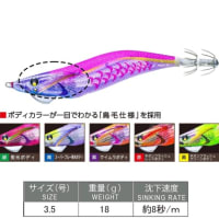 新製品のエギのインプレ