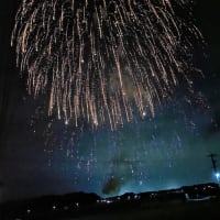 村の花火大会