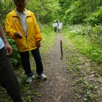 第2回走ろう会例会