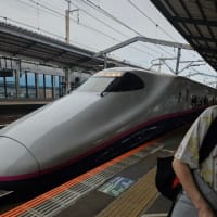 狆のお泊まり会2025初夏チェックアウト