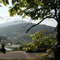 日本の棚田百選の一つ、坂折棚田（さかおりたなだ）美景、ドキドキ眺め　(岐阜県恵那市)