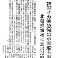 韓国イカ漁獲急減は中国船が主因　北朝鮮海域に進出以降　２０２２年０１月２０日　みなと新聞