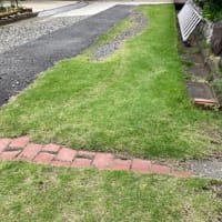 介護と草むしりと体幹トレ