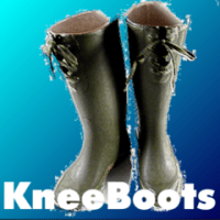 KneeBoots