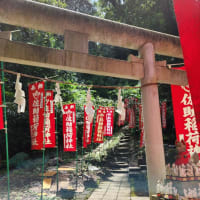 ひとり倶楽部活動開始！猛暑だけど佐助稲荷神社に御参り！