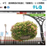 猛暑日