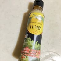今日の夜ご飯