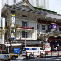20年ぶりの日本ー帰国