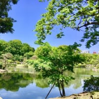 竹之内麻温のココスキ。