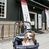 ふうたくんとレジーナ長浜(^^♪＆月命日