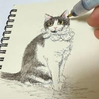 ときどき　らくがき　５。