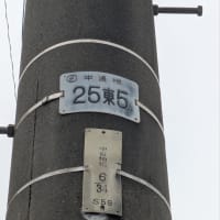 古いほうが強い。