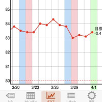 ダイエット停滞