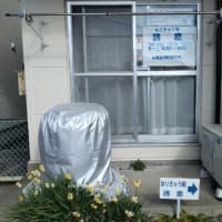 寒さも少しだけ緩んで…