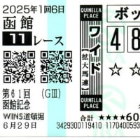 2025年　青函S、バーデンバーデンC、函館記念、ラジオNIKKEI賞　反省