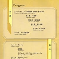 ツォトネ・ゼジニゼ　ピアノリサイタル 2024/6/1