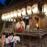 地元の白山社で夏祭り！！！
